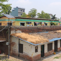 पन्क्षीलाई पनि जलवायु परिवर्तनको असर