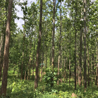 हुम्लाबाट ११ सय ४६ जना परीक्षार्थी एसईईमा सहभागी हुँदै