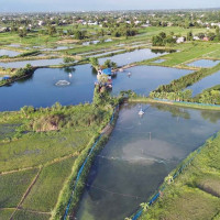 आम्दा अस्पताल तोडफोड