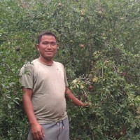 मन्त्री भण्डारीद्वारा बैतडीबाट कफीखेतीको शुभारम्भ