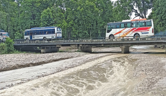 लोकमार्गका पुल जोखिममा