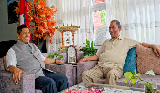 उपलब्धि रक्षाका लागि परिवर्तनकारी शक्तिको भूमिका सम्बन्धमा नेता श्रेष्ठ र यादवबीच छलफल