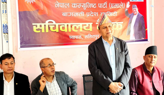 विधानको तीन महल  तल्लो कमिटीमा