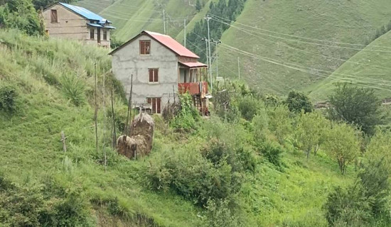 ठडिए बाढीपहिरोपीडितका घर
