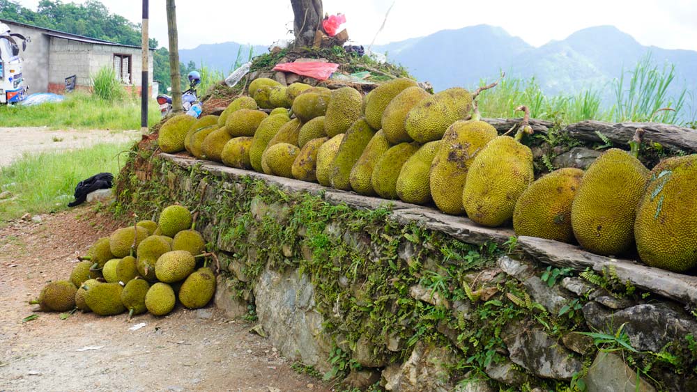 राजमार्गमा कटहरको व्यापार