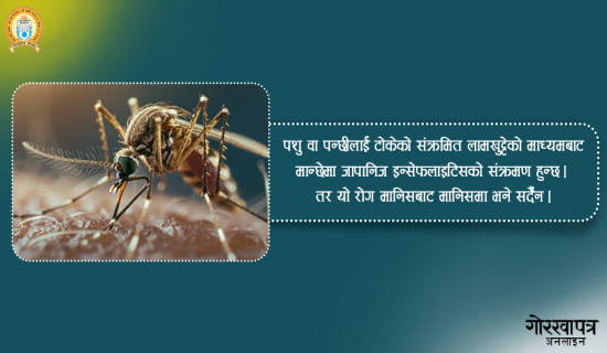 जापानिज इन्सेफलाइटिसबाट ३४ जना सङ्क्रमित हुँदा तीनको मृत्यु