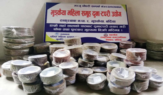 महिलाले चलाए दुनाटपरी उद्योग
