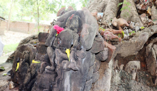 ओझेलमा बुद्धको मावली, मर्चवार नै ऐतिहासिक ‘देवदह’