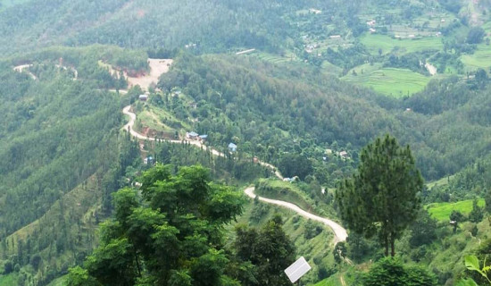 रिट खारेजीपछि सडक बन्ने सुनिश्चित
