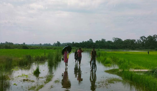 सडक नबन्दा विद्यालय जान समस्या