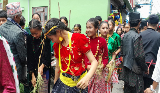 इलाममा रोपाइँ जात्रा