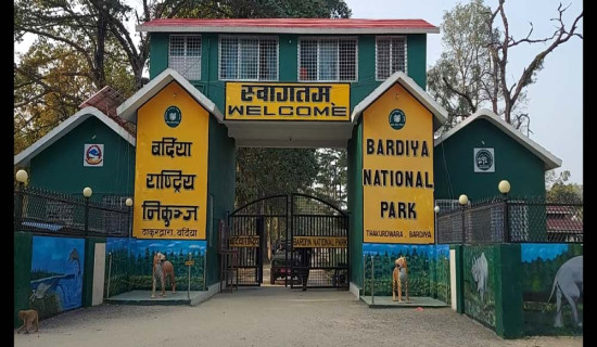 बाघले गर्दा बर्दिया परिचित