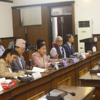 राष्ट्रिय सभाबाट तीन विधेयक पारित