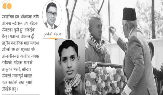 प्रजातन्त्रका कर्मठ योद्धा