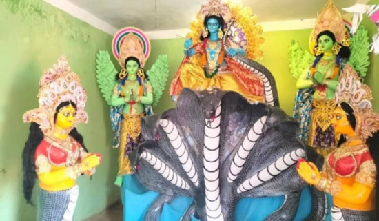 भाद्रकृष्ण अष्टमी :  कृष्णको मन्दिरमा भक्तजनको भिड
