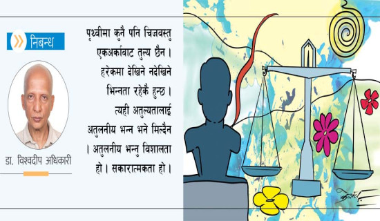 अतुलनीय  (निबन्ध)