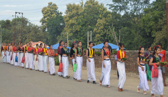 थारू बस्तीमा अष्टिम्कीको रौनक, महिलाहरू अष्टिम्की मनाउँदै