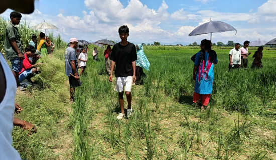 वन्यजन्तुकोे आक्रमणबाट एक महिलाको मृत्यु