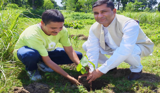 सामुदायिक वनमा दुई हजार बिरुवा रोपिए
