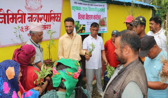 विद्यार्थी र किसानलाई बिरुवा वितरण