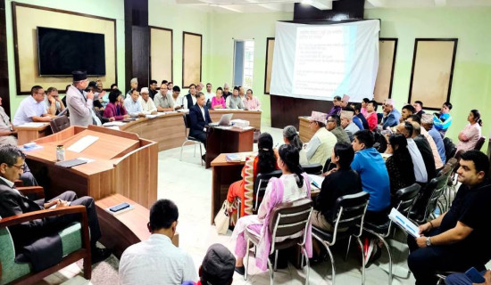 भ्रष्टाचारभन्दा ठुलो समस्या ढिलासुस्ती : महासचिव पोखरेल