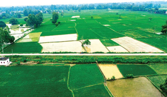 ‘नेवार’ शब्दको प्राचीनता
