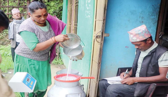 प्रभावकारी बन्दै उत्पादनमा आधारित अनुदान