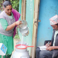 पर्वतबाट झण्डै  ३० करोडका सुन्तला निर्यात