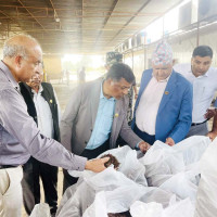 एकीकृत कारोबार फागुन १२ गते हुने