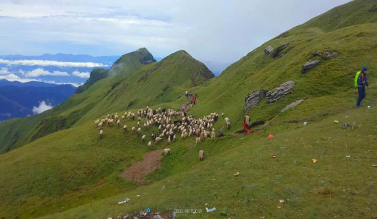 कालीकोट र बाजुराबिच सीमा विवाद