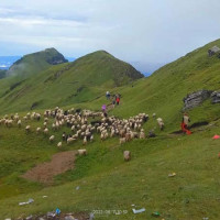 स्वाभिमानको सगरमाथा (कथा)