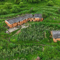 कारबाही फुकुवा