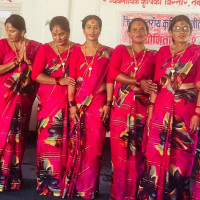 राष्ट्रिय अर्थतन्त्रमा कर्णालीको योगदान न्यून