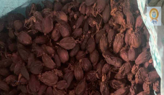 अलैँचीको भाउ सात वर्ष यताकै उच्च