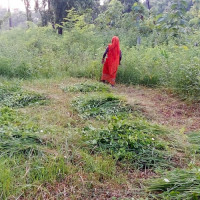 जलवायु परिवर्तन मानव सभ्यताकै सङ्कट होः परराष्ट्रमन्त्री
