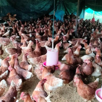 जलवायु परिवर्तन मानव सभ्यताकै सङ्कट होः परराष्ट्रमन्त्री