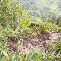 आर्थिक विस्तारमा सहयोग पुग्ने अपेक्षा