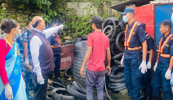 डेङ्गु सङ्क्रमित बढ्न थालेपछि खोज सुरु