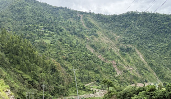 राजनीतिक निकास दिन आग्रह