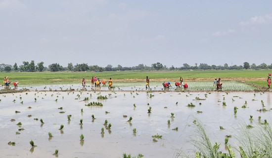बचतकर्ताको दुई अर्ब ८२ करोड अपचलन