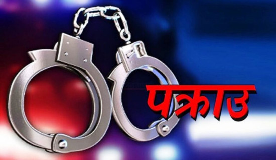 हीरा चोरेको आरोपमा तीन व्यक्ति दुबई प्रहरीको नियन्त्रणमा
