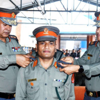 डेङ्गु सङ्क्रमित बढ्न थालेपछि खोज सुरु