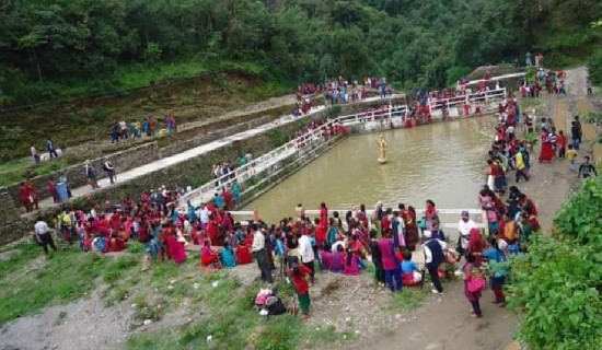 काग सन्देश प्रवाहक प्राणी