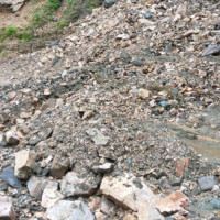 बुहारीहरू पन्चैबाजा सिक्दै