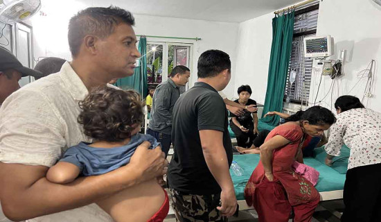 हिजबुल्लाहलाई निःशस्त्र गर्ने प्रतिबद्धतापछि अमेरिकी दूतले इजरायलसँग दीर्घकालीन युद्धविरामबारे छलफल गर्ने