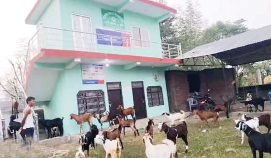 नबिल बैङ्कको चुक्ता पुँजी सत्ताइस अर्ब पाँच करोड