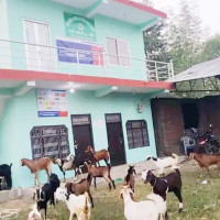 सेयरमा लगानीकर्ताको मनोबल उच्च