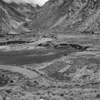 डिम्ब निष्कासन र भण्डारण रोक्न अन्तरिम आदेश