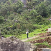 डिम्ब निष्कासन र भण्डारण रोक्न अन्तरिम आदेश