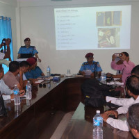 चाडपर्व त पहाडमै रमाइलो